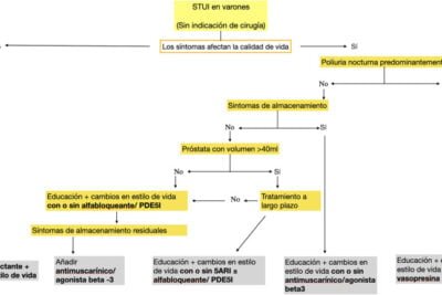 terapia antiandrogenica definicion y beneficios clave explorados