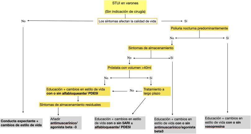 terapia antiandrogenica definicion y beneficios clave