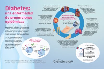 tipos de diabetes causas y caracteristicas principales