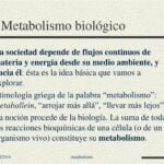 Tipos de Metabolismo en Organismos Vivos: Una Exploración