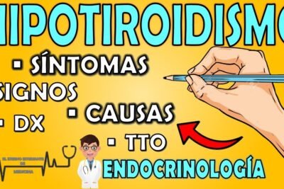 tiroidismo causas sintomas y tratamientos explicados