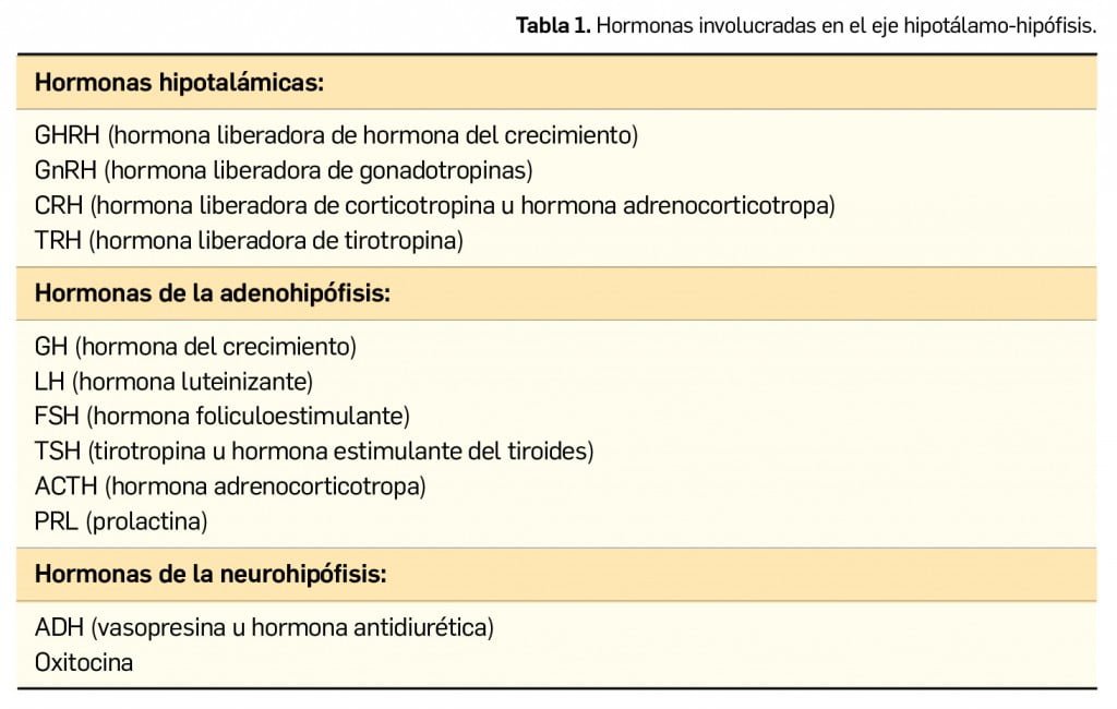 trastornos hipotalamicos causas sintomas y tratamientos