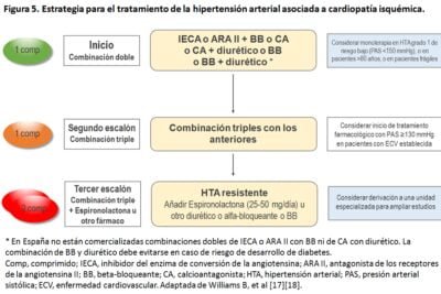 tratamiento de la hipertension en ancianos claves esenciales