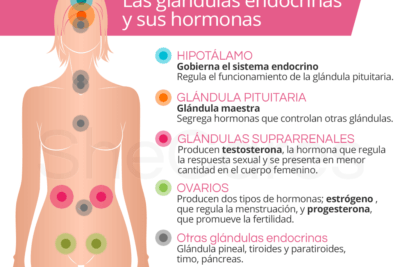 tratamientos hormonales tipos y caracteristicas esenciales