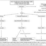 triangulacion de datos en el tratamiento de la hipoglucemia