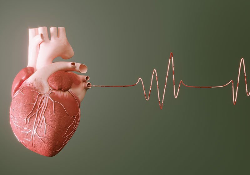 vinculo entre androgenos y enfermedades cardiovasculares