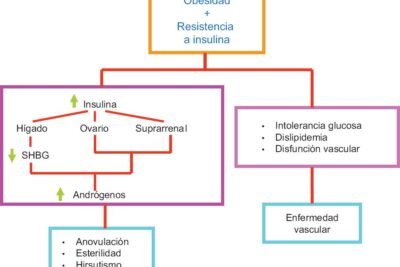 vinculo entre estrogenos y sindrome de ovario poliquistico