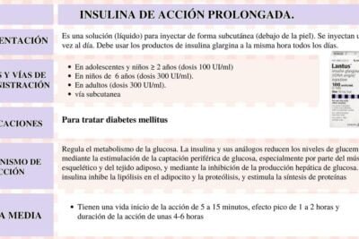 insulina de accion prolongada lo que debes saber y su funcion